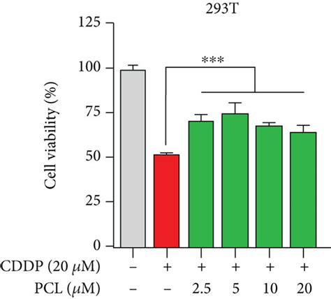 Pyrocatechol Inhibits The Cytotoxicity Of Cisplatin A Screening For