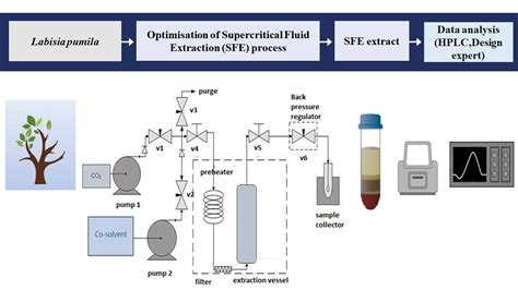 Separations Free Full Text Parameter Effects And Optimisation In