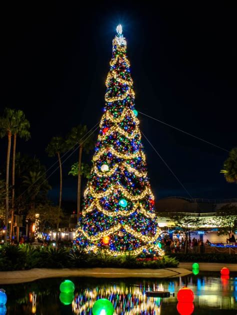 Best Christmas Towns In Florida - Florida Travel Inspiration