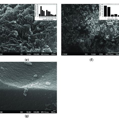 Sem Images Of Sio Al O Oxides Calcined At C A A B