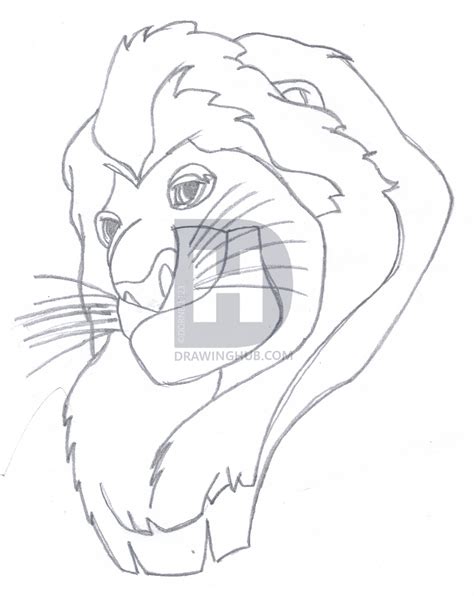 Mufasa Drawing at PaintingValley.com | Explore collection of Mufasa Drawing