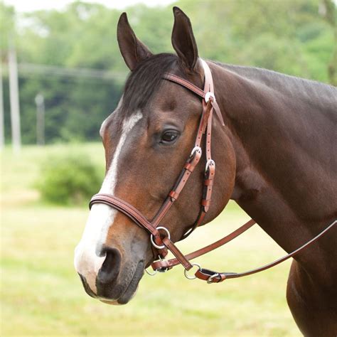 Western Leather Horse Bridle At ₹ 850 In Kanpur Id 4850564073