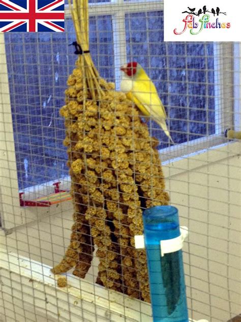 Premium Hanging Millet Spray A Great Treat That Your Birds Will Love