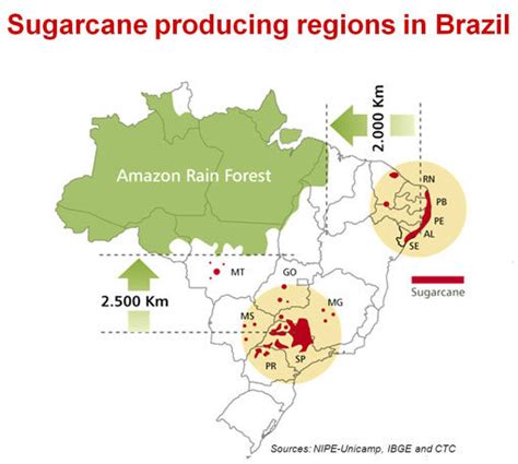 Research Aims To Expand Brazil Sugarcane Acres Further South Ethanol