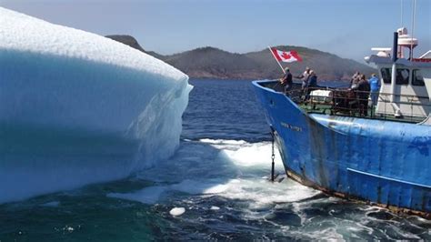 Vodka company CEO scratching his head over Newfoundland iceberg water ...