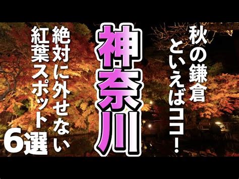 【神奈川の紅葉】絶対に外せない紅葉スポット！鎌倉で秋を満喫しよう 国内観光ガイド