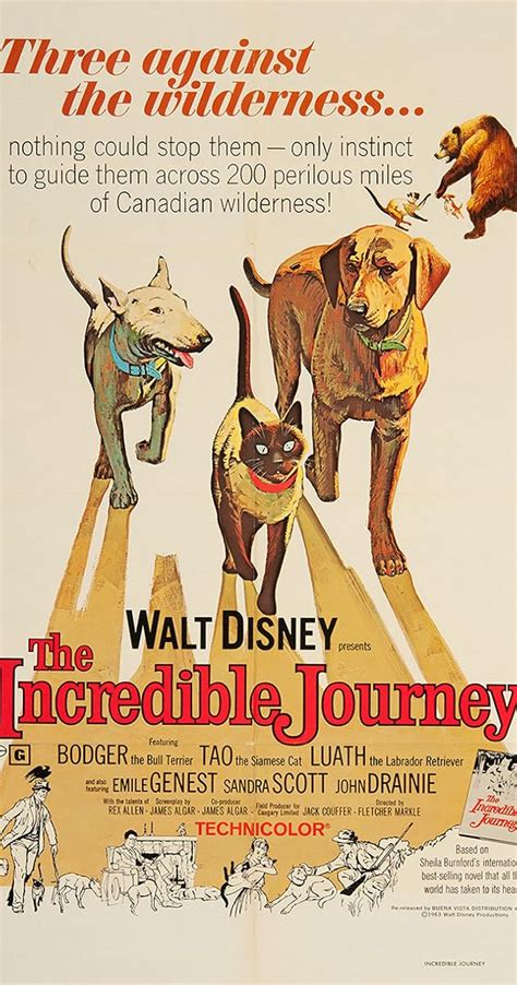 The Incredible Journey 1963 Imdb