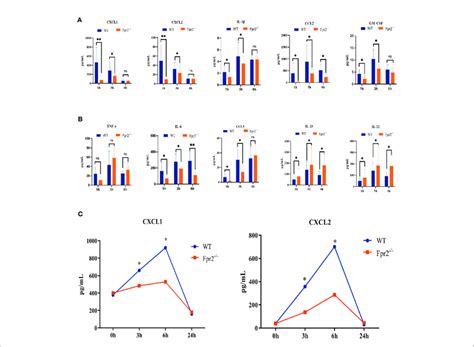 Kinetics Of Cytokine Chemokine Production In Peripheral Blood After