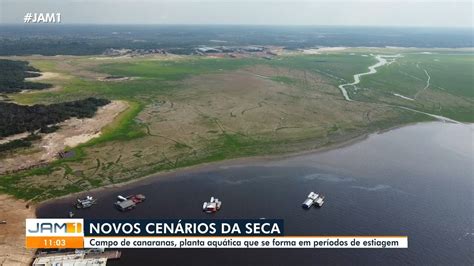 Rio Negro desacelera mas sobe mais de dois metros só em novembro em