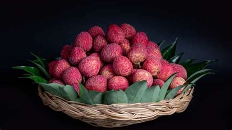 Did You Know Lychee Seeds Have Health Benefits Know Its Nutritions