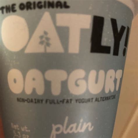 Oatly Oatgurt Plain Review Abillion