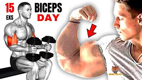 Best Biceps Workout At Gym To Get Bigger Arms Fast Biceps Workout