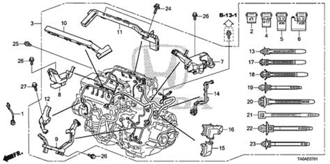 Honda Accord Body Parts Diagram