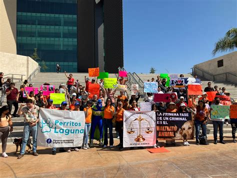 Marchan En Torre N Para Exigir Que Se Endurezcan Penas Por Maltrato Y