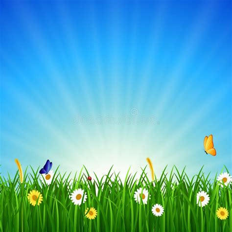 Nature Background With Green Grass Blue Sky And Bright Sun Stock Vector Illustration Of