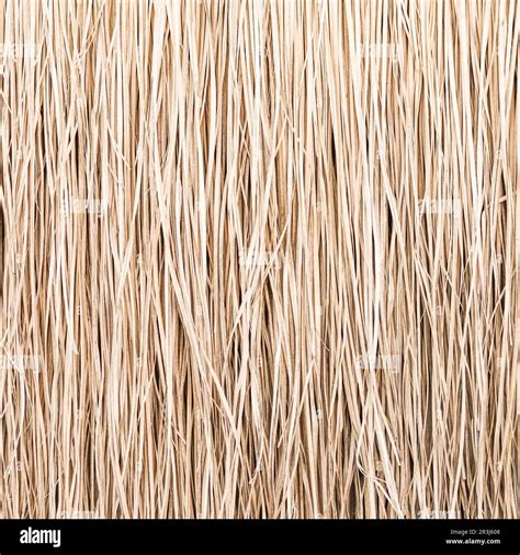 Thatched Roof Texture Seamless