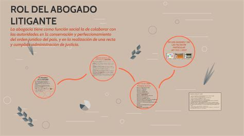 Rol Del Abogado Litigante By Camila Cruz Hernandez On Prezi