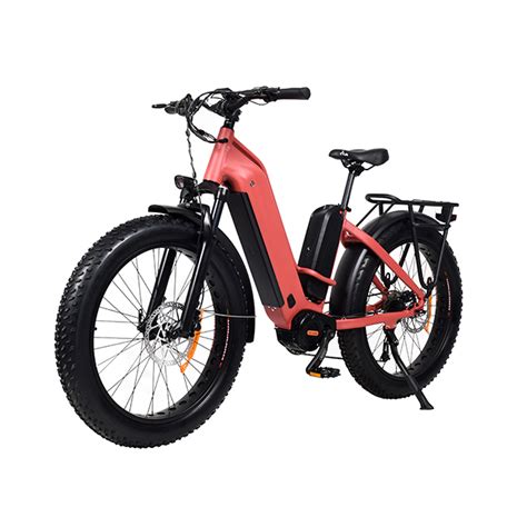 Tda26l Step Thru Dual Motor Fat Electric Bike From China Manufacturer