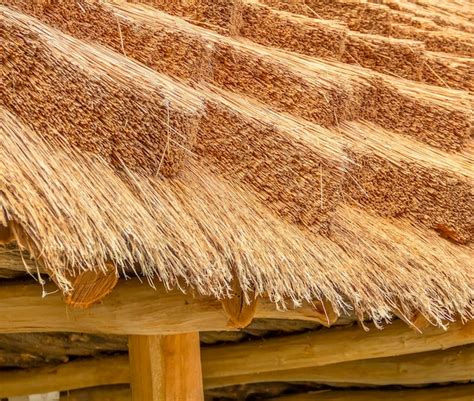 Premium Photo Thatched Roof Closeup