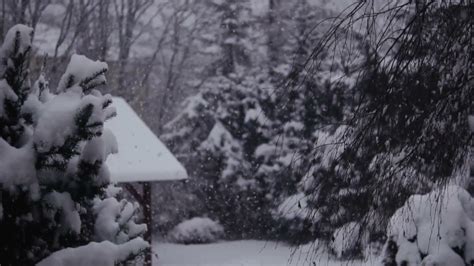 Winter Storm Ambience With Icy Howling Wind Sounds For Sleeping