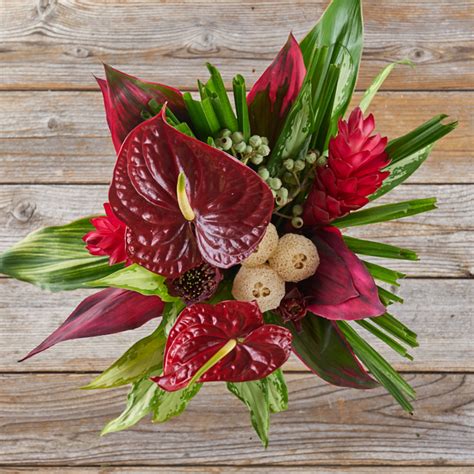 Red Anthurium Loofah And Ginger Bouquet The Bouqs Co