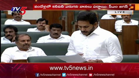 ఏపీ అసెంబ్లీలో పలు బిల్లులకు ఆమోదం Ap Assembly Tv5 News Digital Youtube