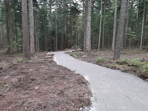 Der Schwarzwald Und Seine Natur Wanderung Im Verlauf Der AugenBlick