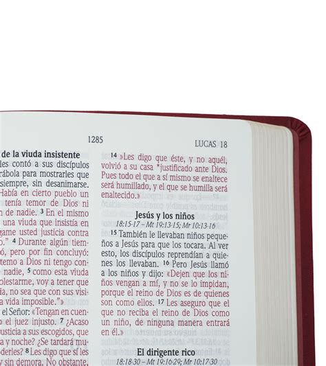 Santa Biblia Nvi Letra Grande Tama O Manual Cuero Ecologico Vino