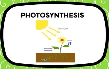 Photosynthesis And Cellular Respiration BUNDLE By Science Interactive World