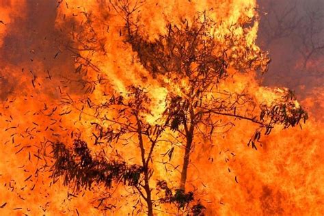 Aumenta La Cantidad De Fallecidos En El Incendio Más Mortífero Del