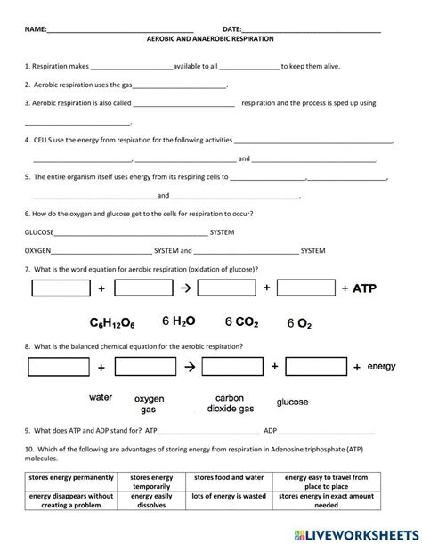 Cellular Respiration Overview Worksheet Chapter 7 Worksheets Library