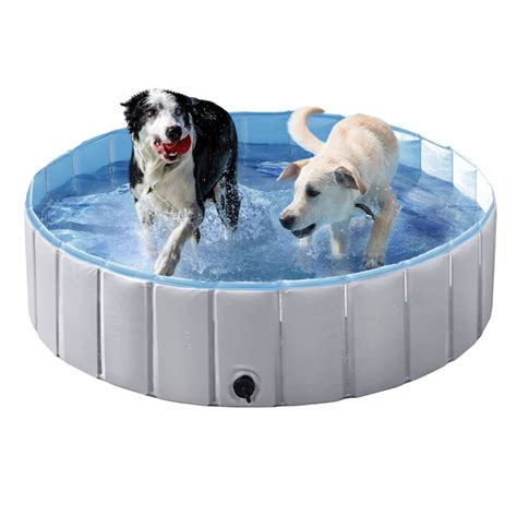 10 Best Dog Pools for All Sizes 2024