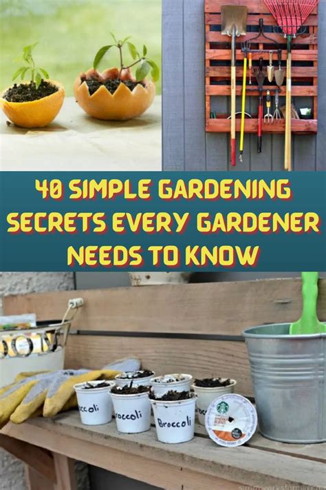 The Words 10 Simple Gardening Secrets Every Gardener Needs To Know