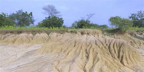 D Gradation Des Terres Agricoles Un Plan National Face L Rosion