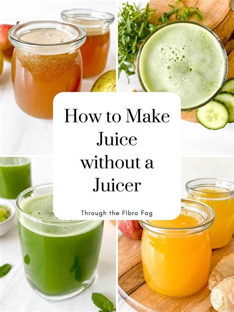 How to Make Juice Without a Juicer - Through The Fibro Fog