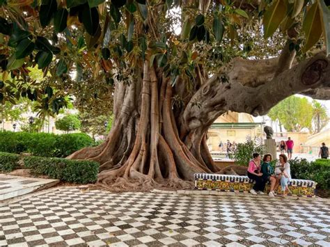 The Most Beautiful And Unique Cadiz Parks To Visit Amused By Andalucia