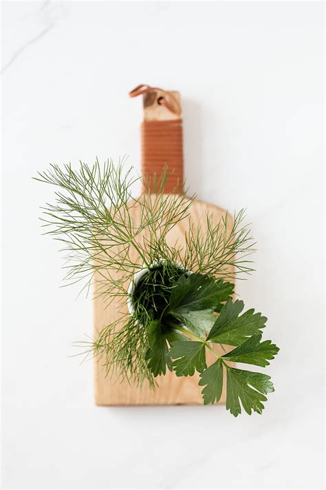 Dill Seed Oil 4060aroma Sanabio Gmbh