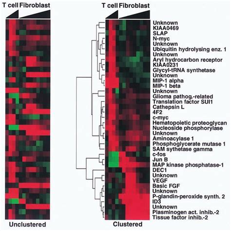 A Schematic Of Cdna Microarray Gene Expression Analysis In This