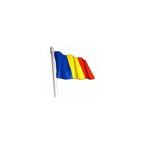 Steag Romania | arhiva Okazii.ro