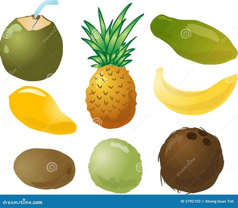 Ilustración De Las Frutas Tropicales Ilustración del Vector