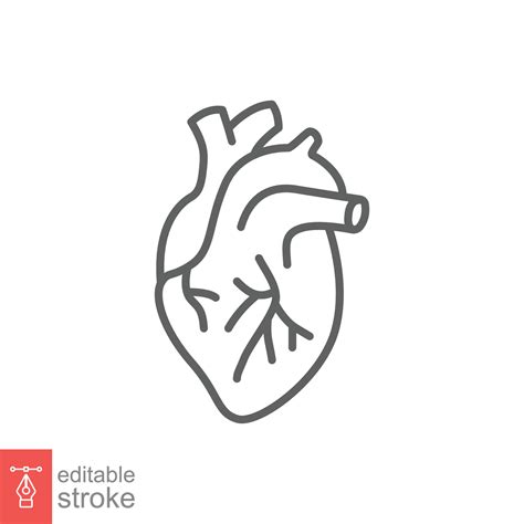 Human Heart Icon Simple Outline Style Internal Organ Real