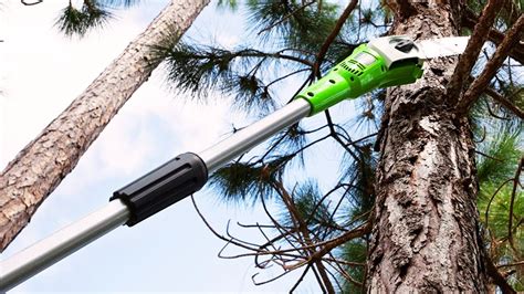 Greenworks 20302 40 Volt 8 Inch Cordless Pole Saw — Best Cordless Pole Saw Of The Year Youtube