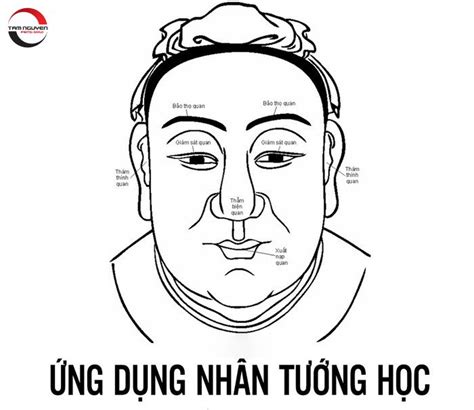 Nhân Tướng Học Là Gì Tìm Hiểu A Z Về Thuật Xem Nhân Tướng Kiến