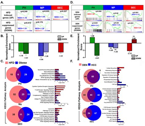 Gene Expression Signature From Den Treated Ph Matched The Gene