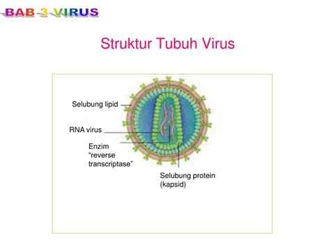 Ppt Bab Iii Virus Powerpoint Presentation Free Download Id6128231