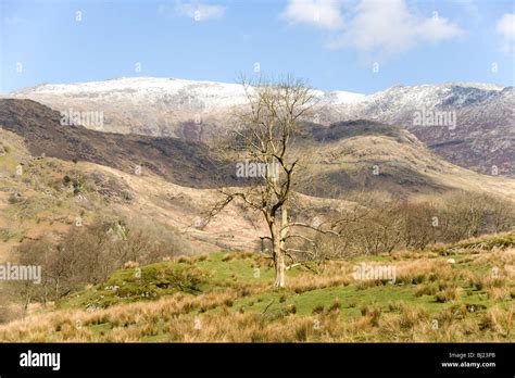 The Glyder Mountain Range From Nant Gwynant In Snowdonia North Wales