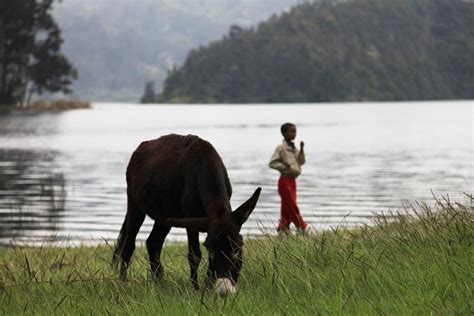 Wenchi Crater Lake - Inside Ethiopia Tours