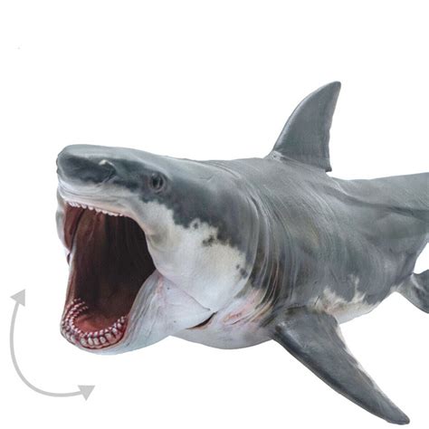 PNSO Megalodon Figure – Lana Time Shop