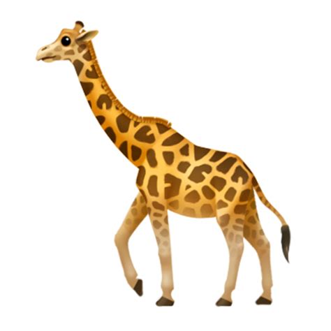 giraffe clipart   giraffe transparent png images