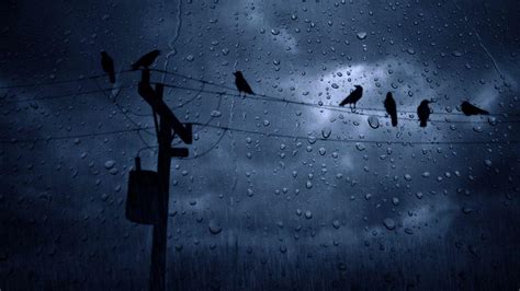 Rainy Weather Wallpapers - Top Free Rainy Weather Backgrounds ...